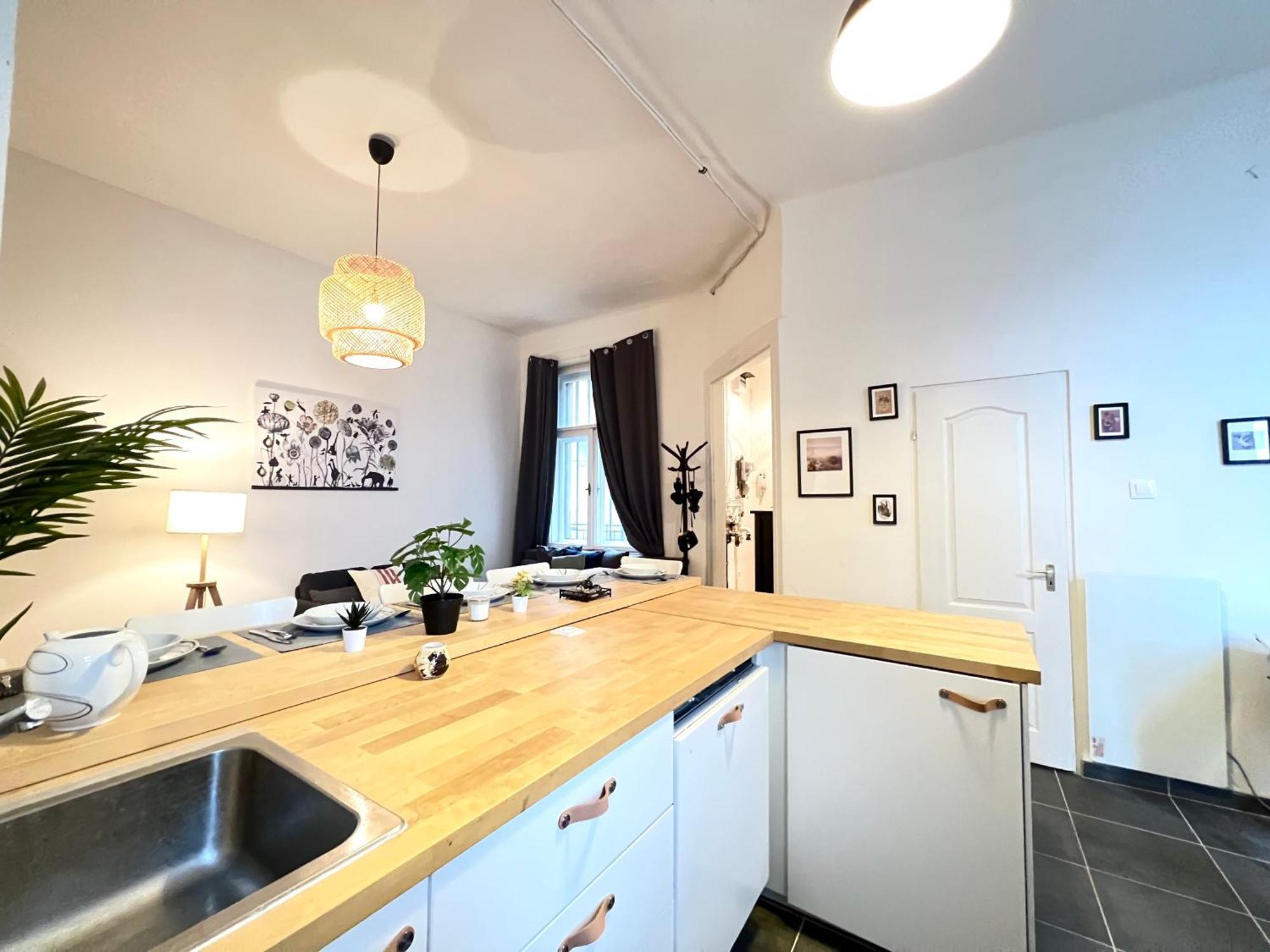 Apartamento Rakoczi *
